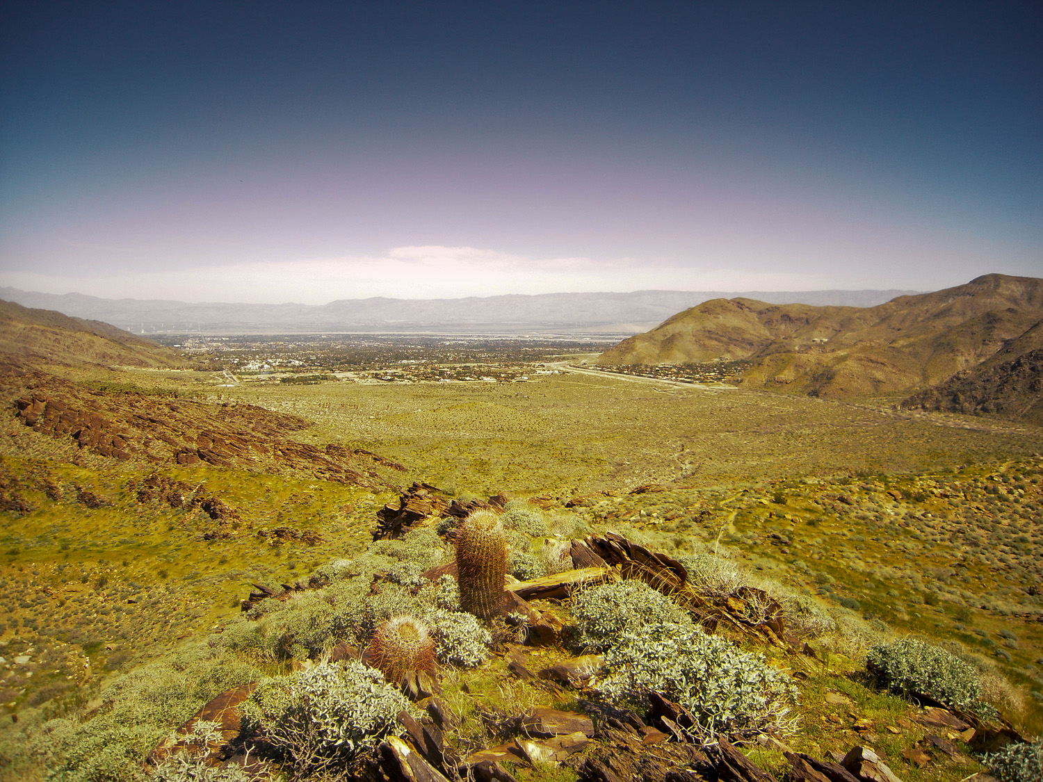 Murray Canyon03132010 (11)